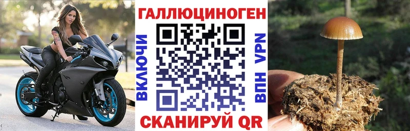 кракен как войти  где можно купить   Мышкин  Псилоцибиновые грибы Psilocybine cubensis 